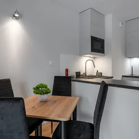 210 - Zakopianski - Sauna & Jacuzzi & Plac Zabaw & Silownia